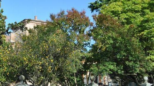 Sesso nel Parco Verde mentre i bimbi giocano
