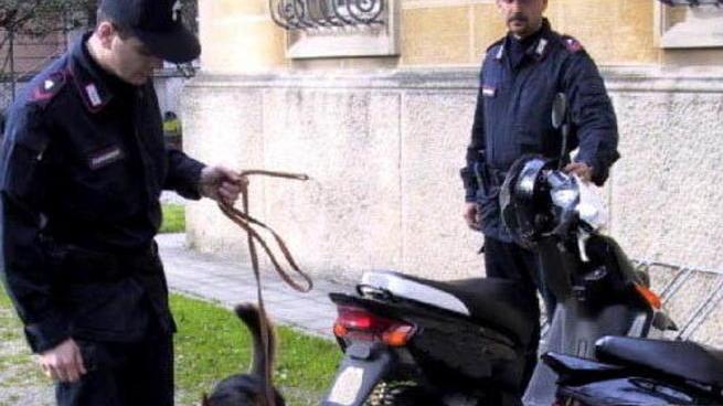 «Più forze in campo e rioccupare il territorio»