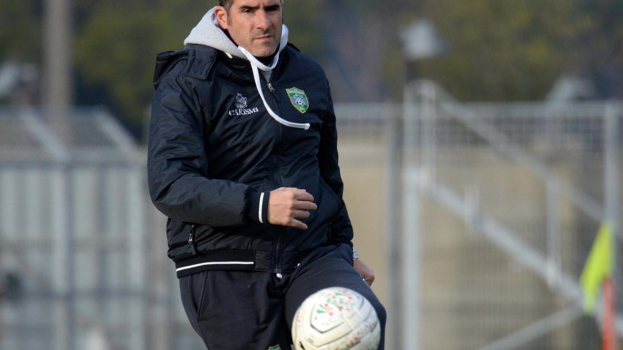 Mister Lucarelli