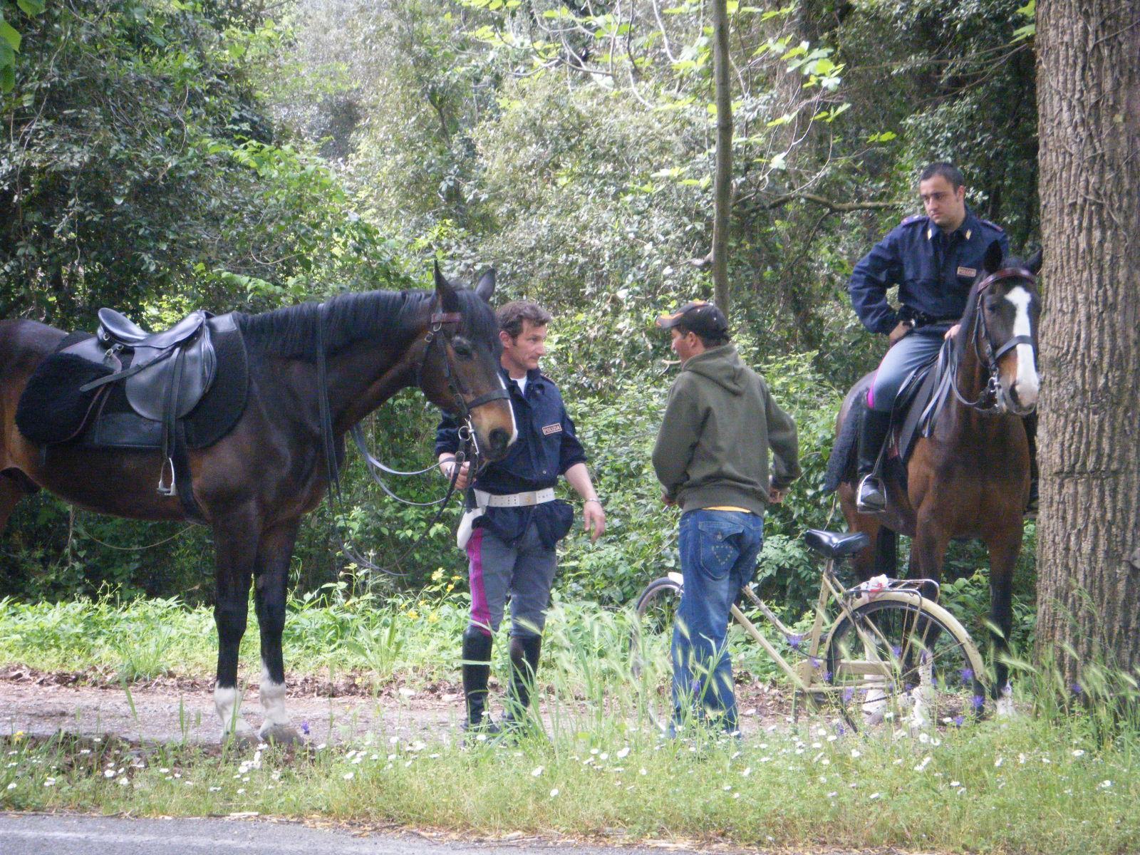 Poliziotti a cavallo a Firenze (foto di Letizia Tassinari)