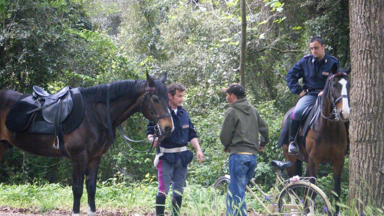 Poliziotti a cavallo a Firenze (foto di Letizia Tassinari)