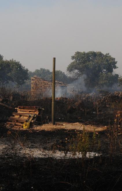 Il parco di Oschini rinasce, dedica a Miscali 