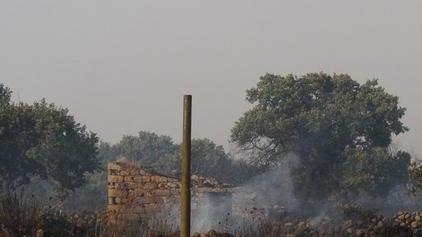 Il parco di Oschini rinasce, dedica a Miscali