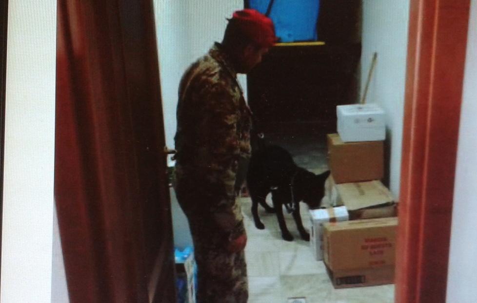 Marijuana nascosta nella grappa: denunciati 