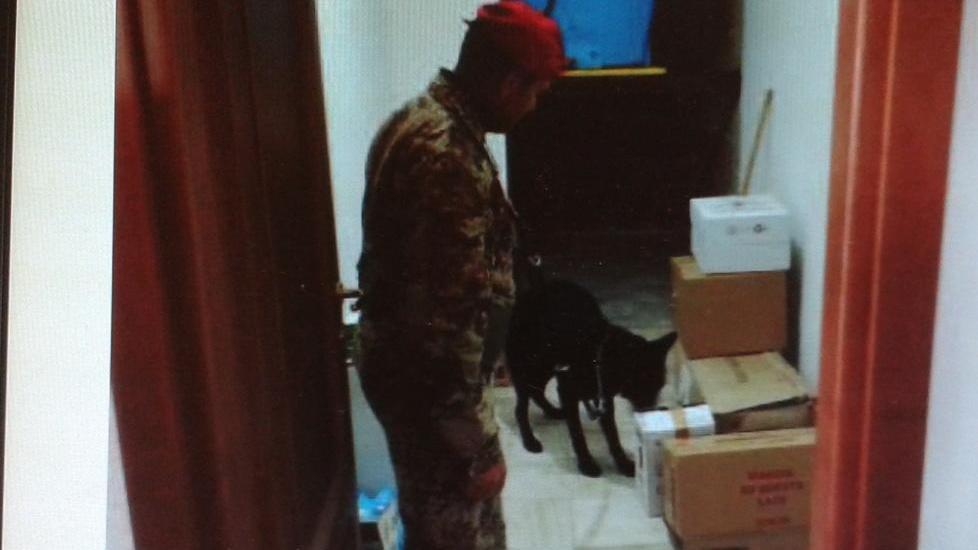 Marijuana nascosta nella grappa: denunciati