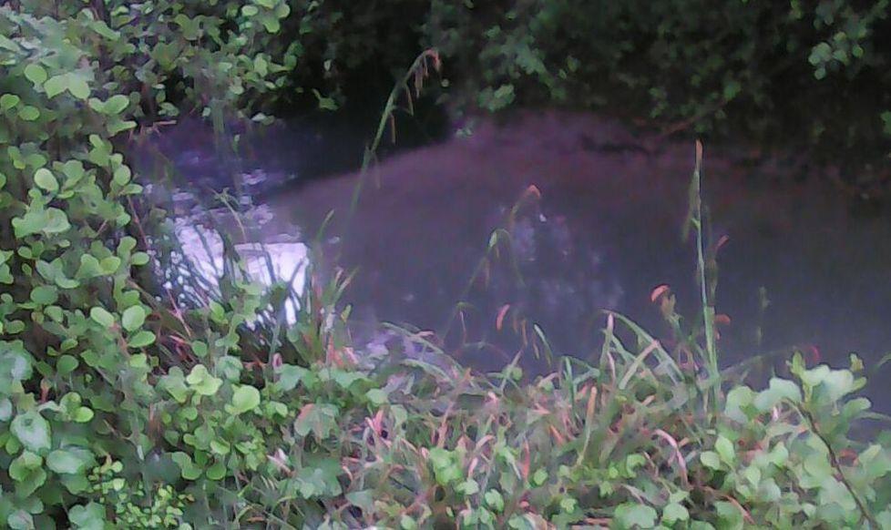 Fogne rotte: inquinano il canal Torbido