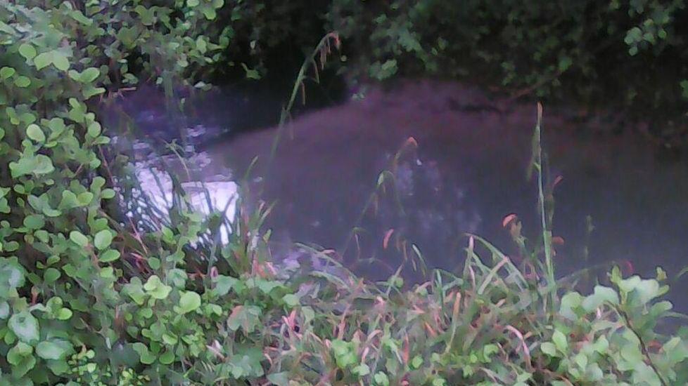Fogne rotte: inquinano il canal Torbido