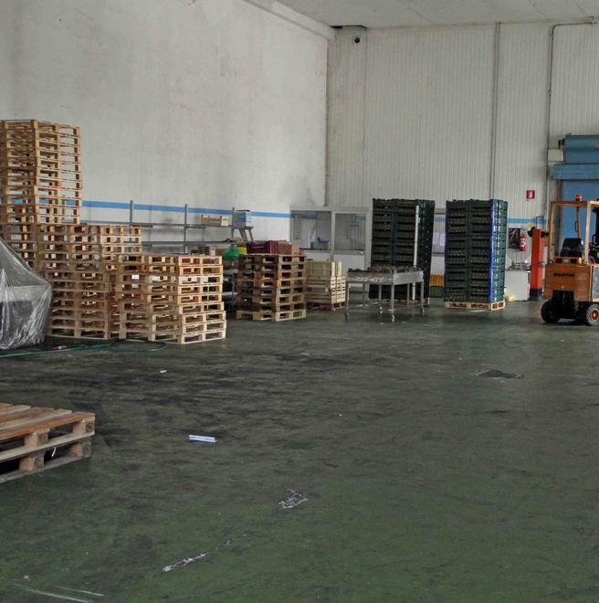 Razzia di frutta da trentamila euro 