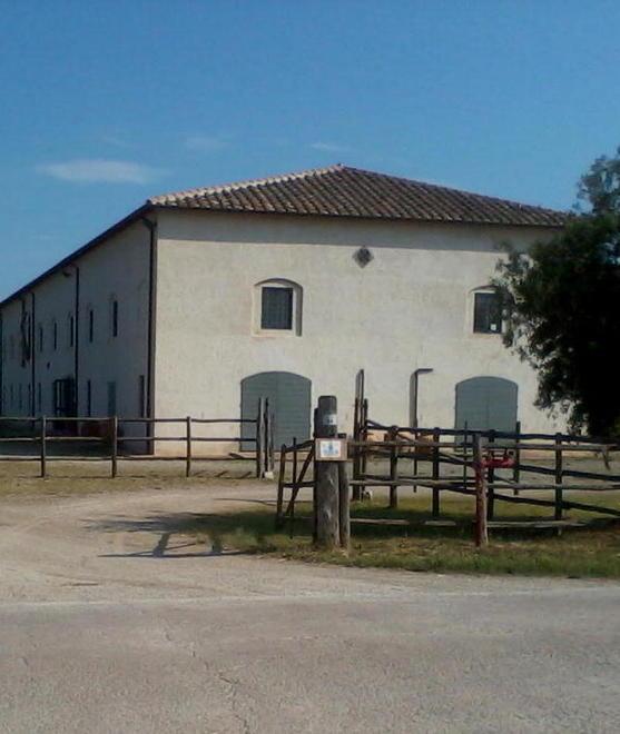 Per le imprese agricole il futuro è nel biologico 