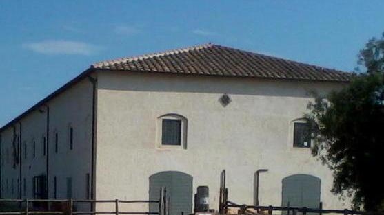 Per le imprese agricole il futuro è nel biologico