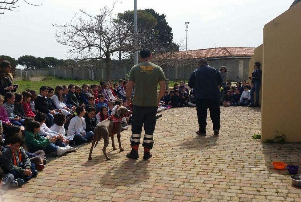 I bambini e i loro amici cani: un rapporto da costruire