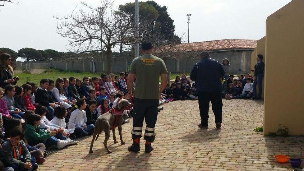 I bambini e i loro amici cani: un rapporto da costruire