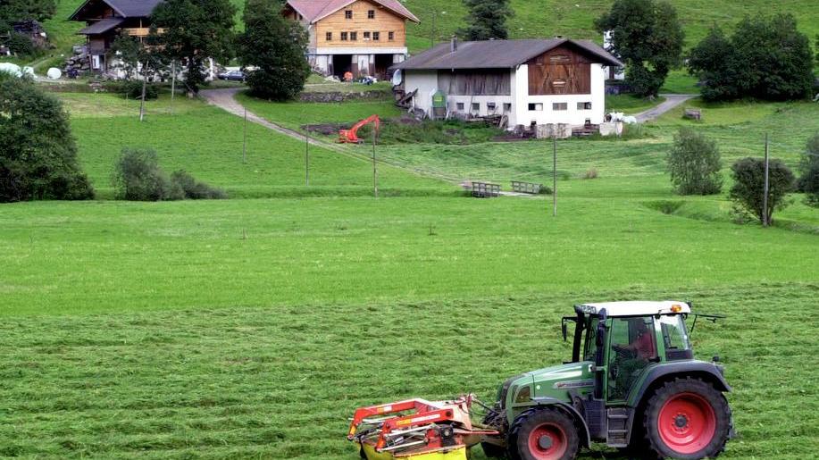 «Aiuto, forse mi hanno clonato il terreno»