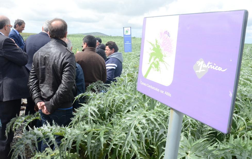 Il grande sogno sull’orlo del flop: la chimica verde ferma al palo 