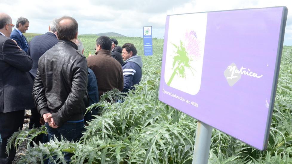 Il grande sogno sull’orlo del flop: la chimica verde ferma al palo