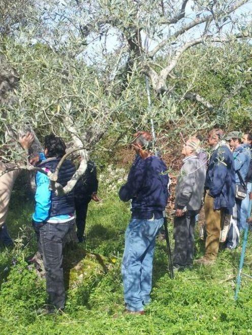 Fondi comunitari, i seminari di Laore