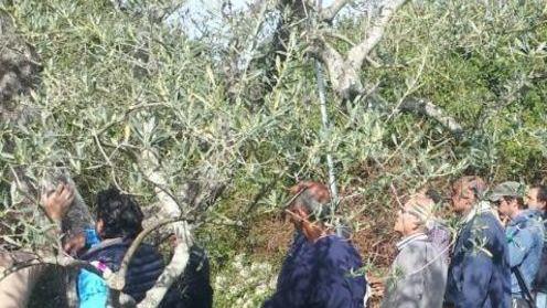 Fondi comunitari, i seminari di Laore