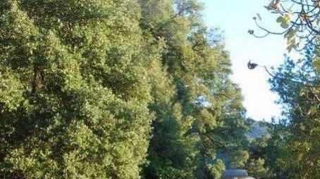 Il trenino verde si fermerà a Lanusei, l’Arst è irremovibile