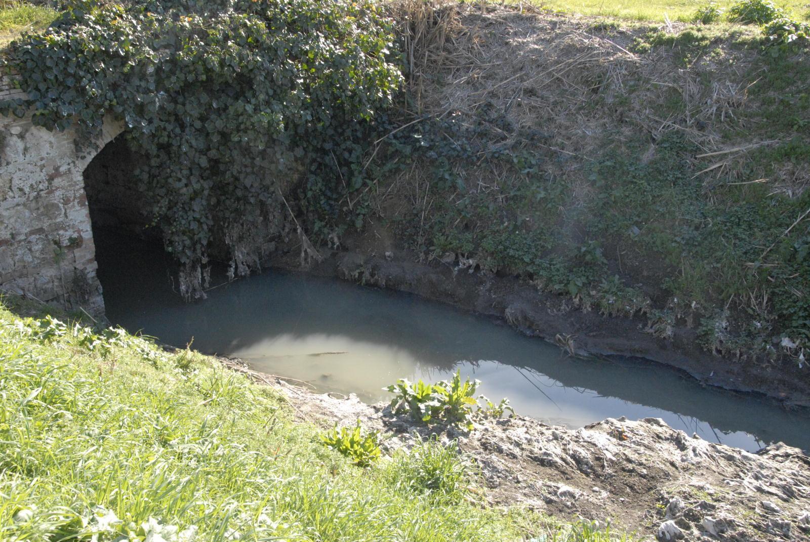 Il fosso Beveraggio nella periferia di Grosseto (foto Bf)