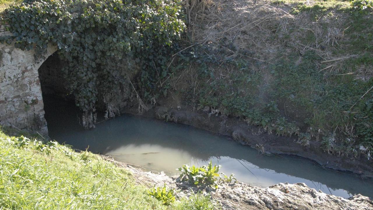Il fosso Beveraggio nella periferia di Grosseto (foto Bf)