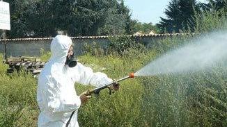I pesticidi e i diserbanti, se ne parla in un incontro