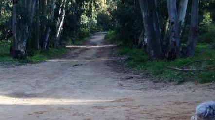 Arbatax, sfalciatura fai da te nella zona di via Ventotene