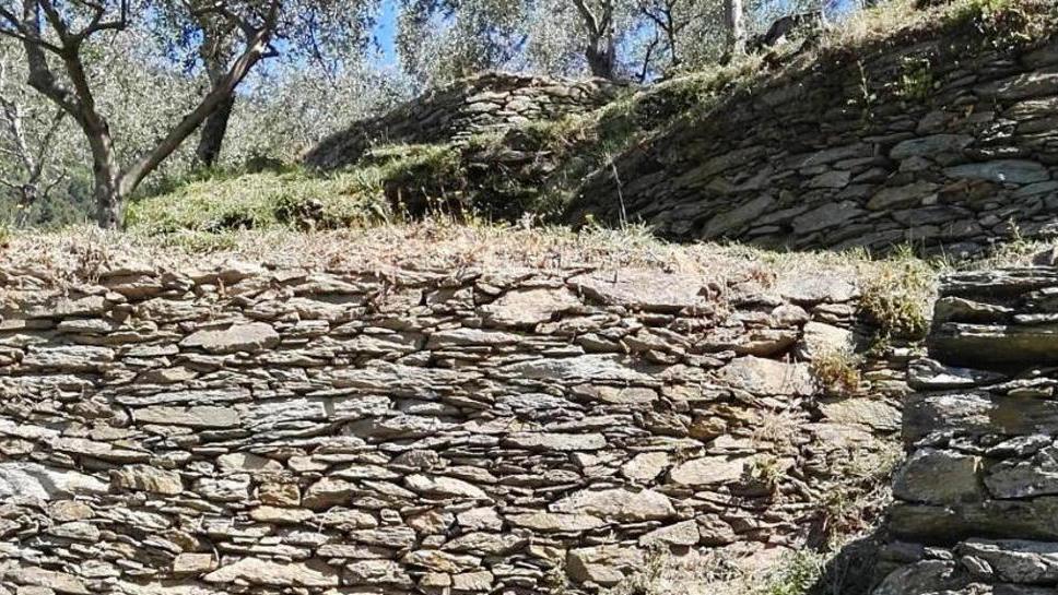 A rischio i muretti a secco della campagna pisana