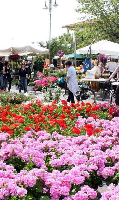 Il fine settimana a Tonfano è con “Marina in Fiore” 