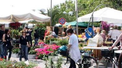 Il fine settimana a Tonfano è con “Marina in Fiore”