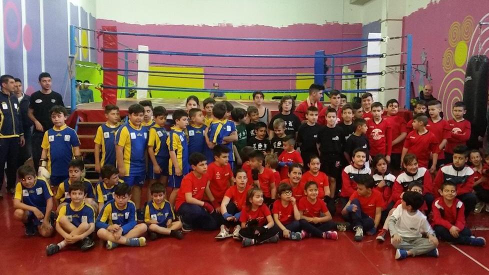 Cuccioli e cangurini, che spettacolo sul ring