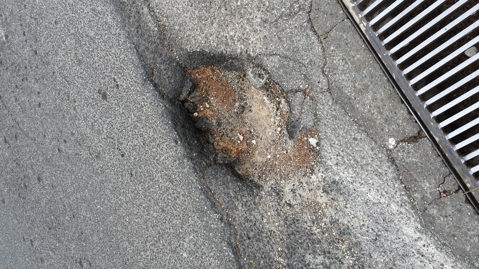 Già decine le segnalazioni inviate dai nostri lettori