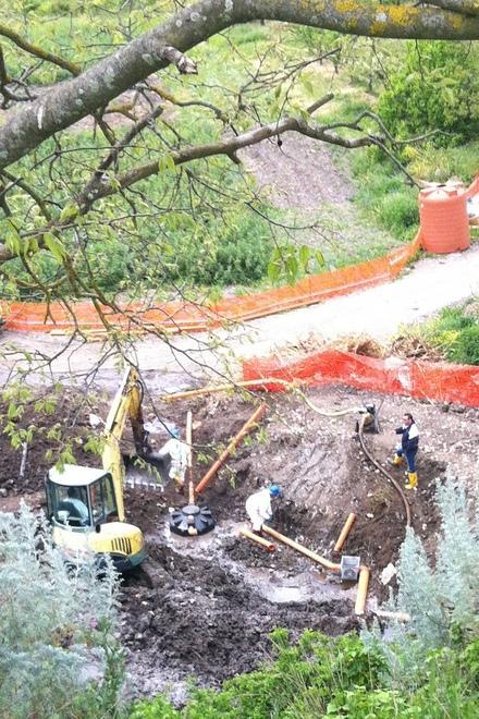 Piccole tartarughe d’acqua coperte di combustibile 