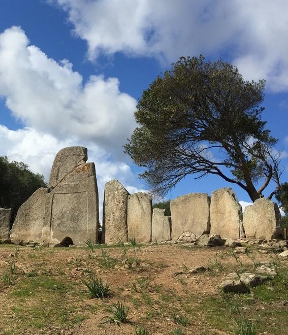 Assalto ai siti archeologici, continua il trend positivo 