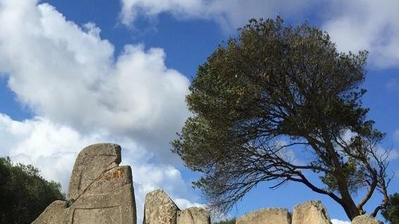 Assalto ai siti archeologici, continua il trend positivo