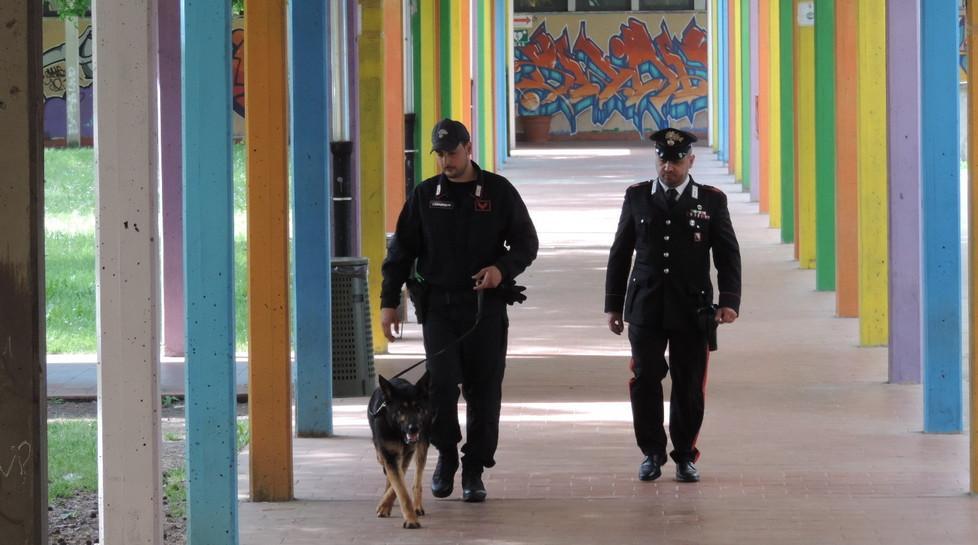 Controlli a raffica al Datini e al Keynes con i cani antidroga