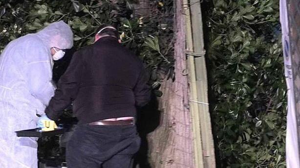 «La rasavo per salvarla»