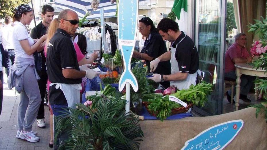 Pesce azzurro e non solo a San Vincenzo
