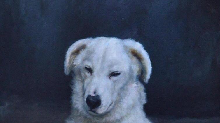 L’abbandono dei cani come un riflesso della solitudine umana
