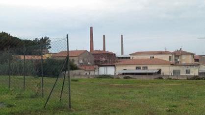 Un’area per cani alla Ladronaia