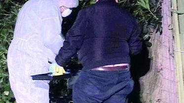 Il patrigno in isolamento
