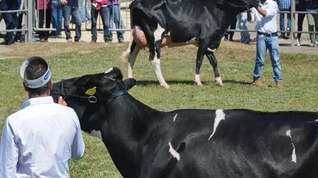 Con Fieragricola il “sistema Arborea” si mette in mostra