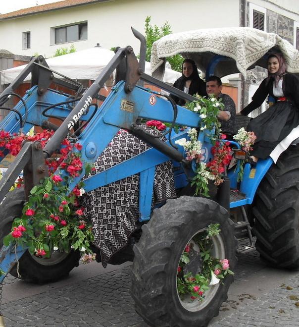 Oggi rivive la festa di Sant’Isidoro