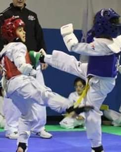 Taekwondo, a Olbia vanno in scena i campionati regionali