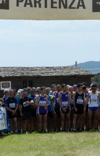 Trofeo fenicottero con 300 atleti 