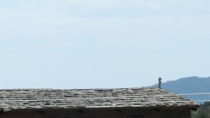 Trofeo fenicottero con 300 atleti