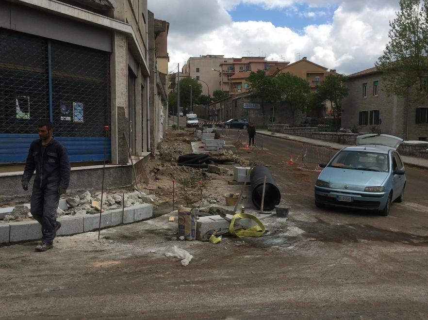 Piante abbattute, scatta la protesta 