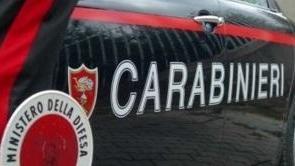 Ladri nel negozio rubano una moto sega