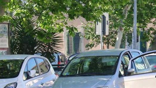 Tanta inciviltà e pochi controlli
