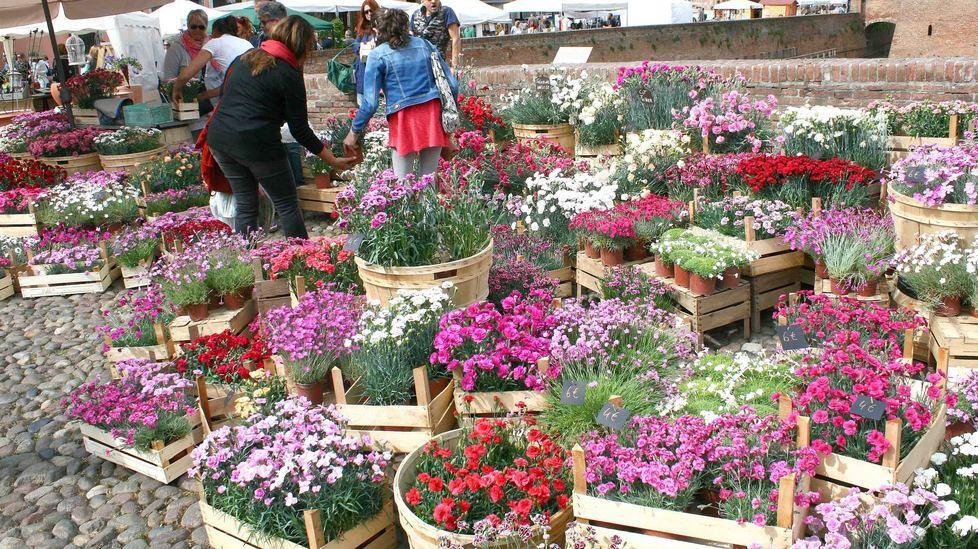Tornano i Giardini Estensi