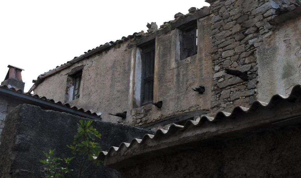 Case a un euro, boom di richieste a Ollolai 